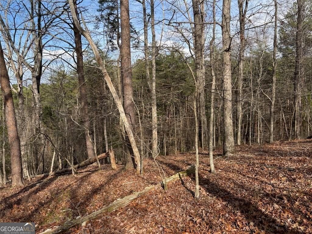 292 Shirley Road Ranger - Photo 84