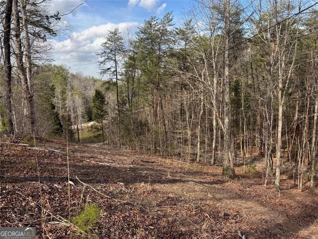 292 Shirley Road Ranger - Photo 85