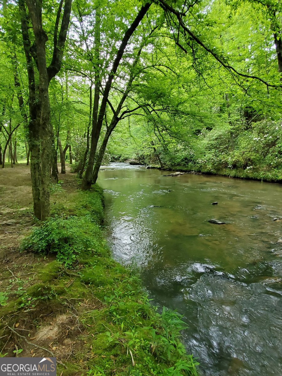 444 Covered Bridge Road Covington - Photo 33