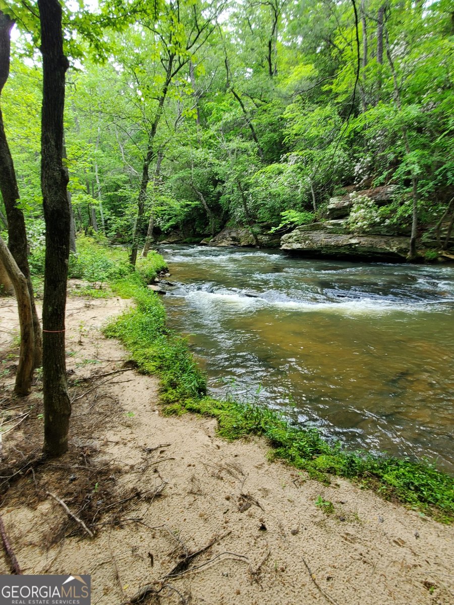 444 Covered Bridge Road Covington - Photo 35