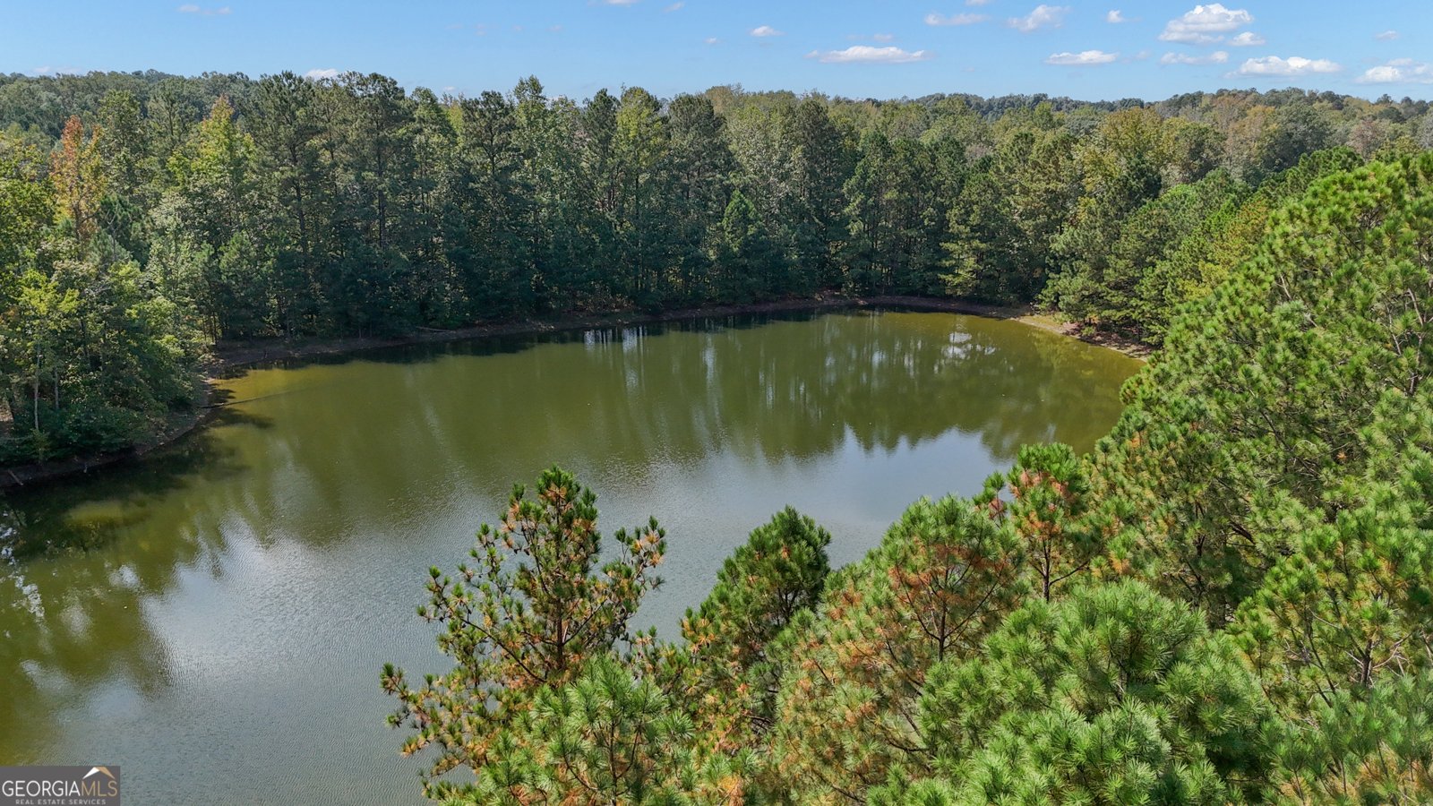 9 Baral Ridge Sharpsburg - Photo 48