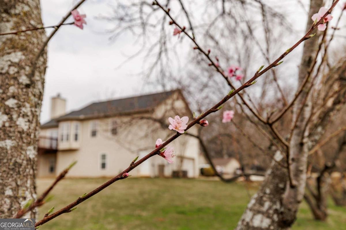 871 Jefferson Walk Circle Jefferson - Photo 43