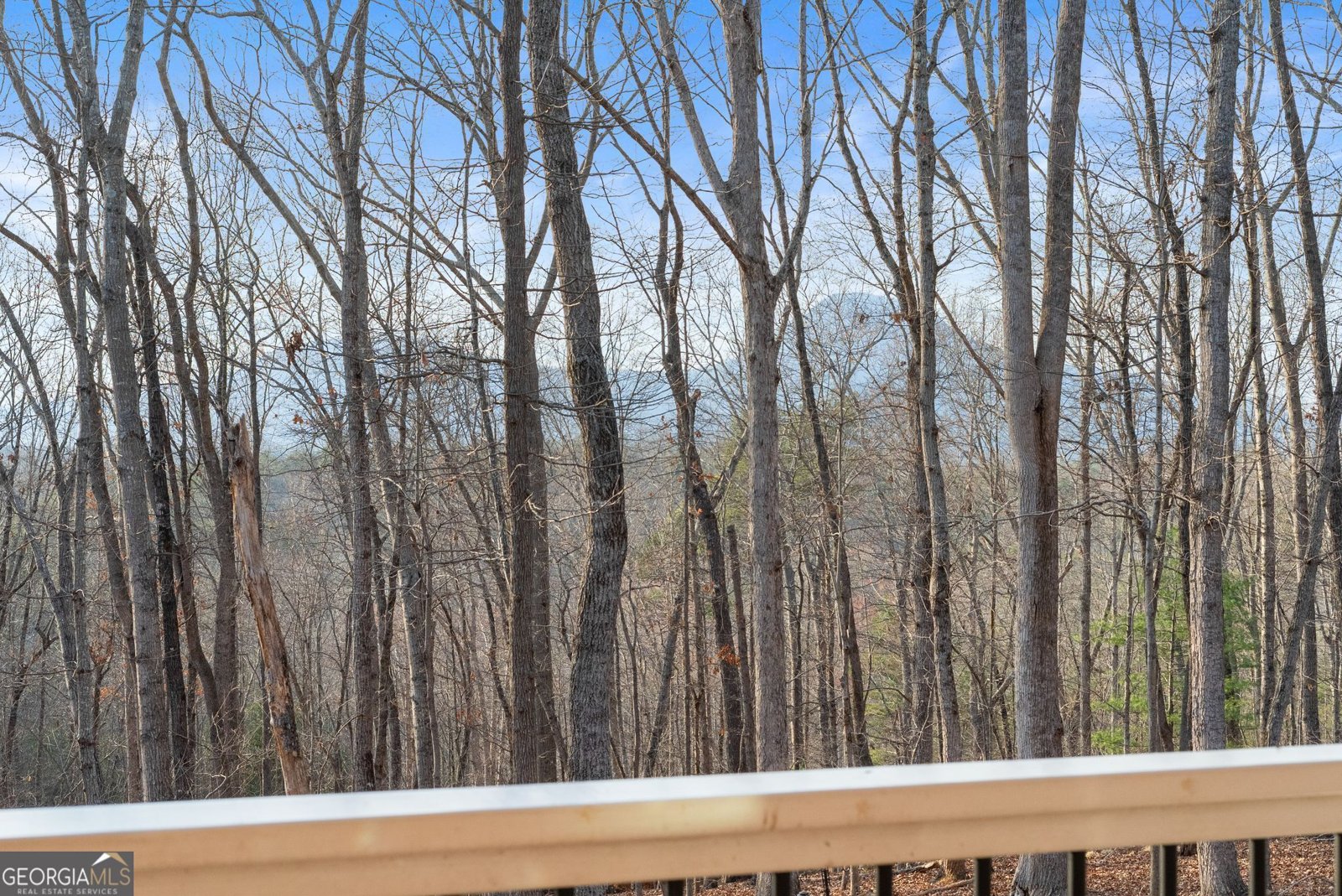 737 Cedar Hollow Road Cleveland - Photo 30