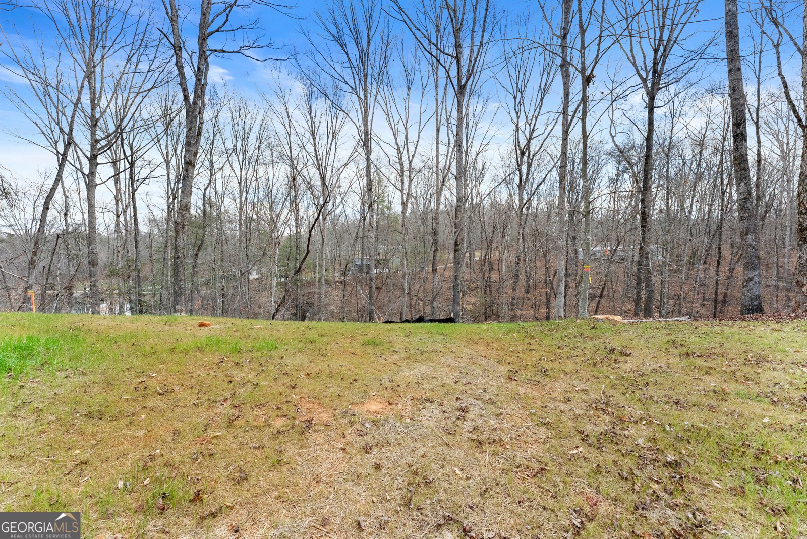 97 Hawks Ridge Ct Cleveland - Photo 31