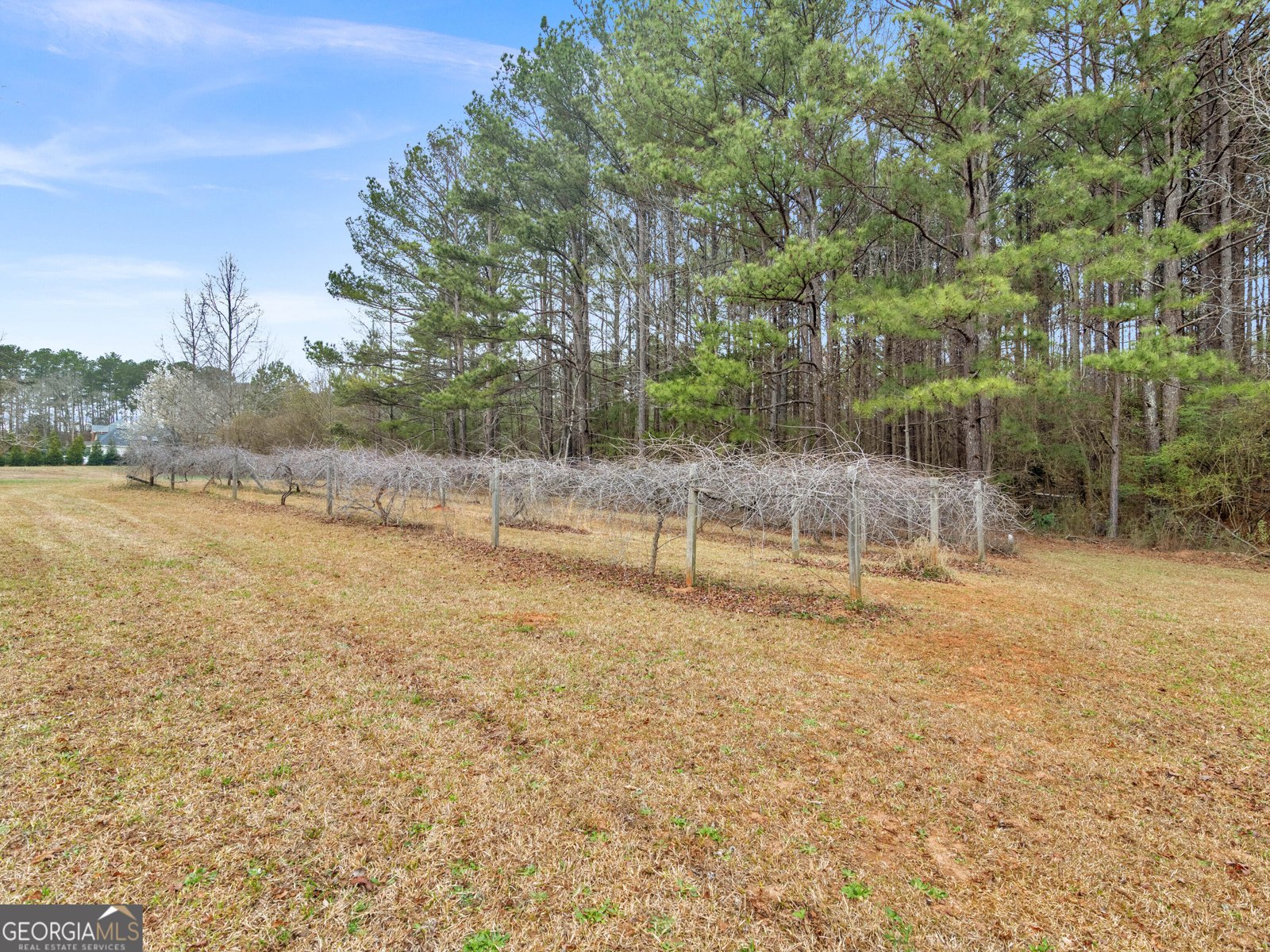 1681 Campground Road McDonough - Photo 33