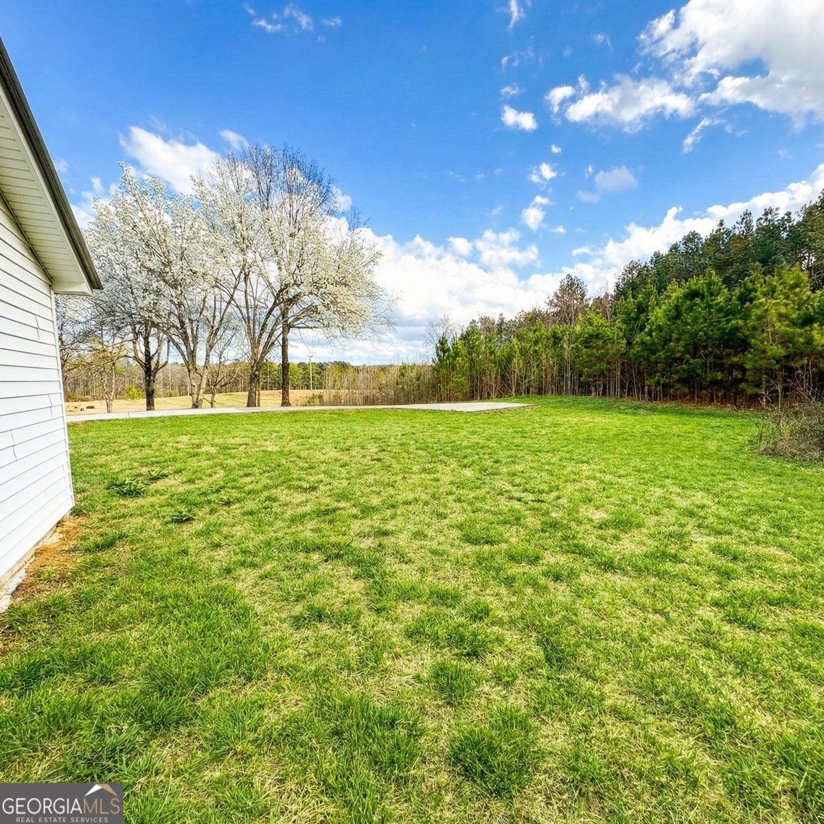 4015 Maple Grove Church Road Resaca - Photo 36