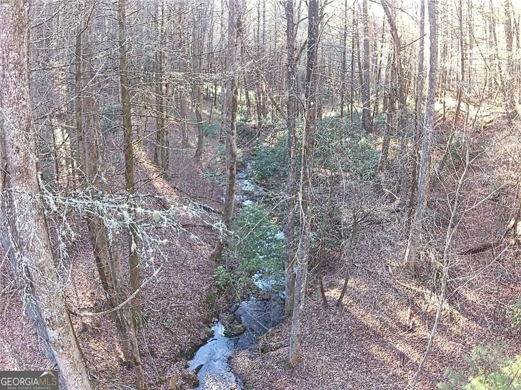 216 Sourwood Drive Blue Ridge - Photo 59