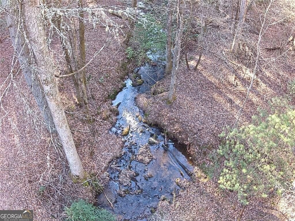 216 Sourwood Drive Blue Ridge - Photo 60