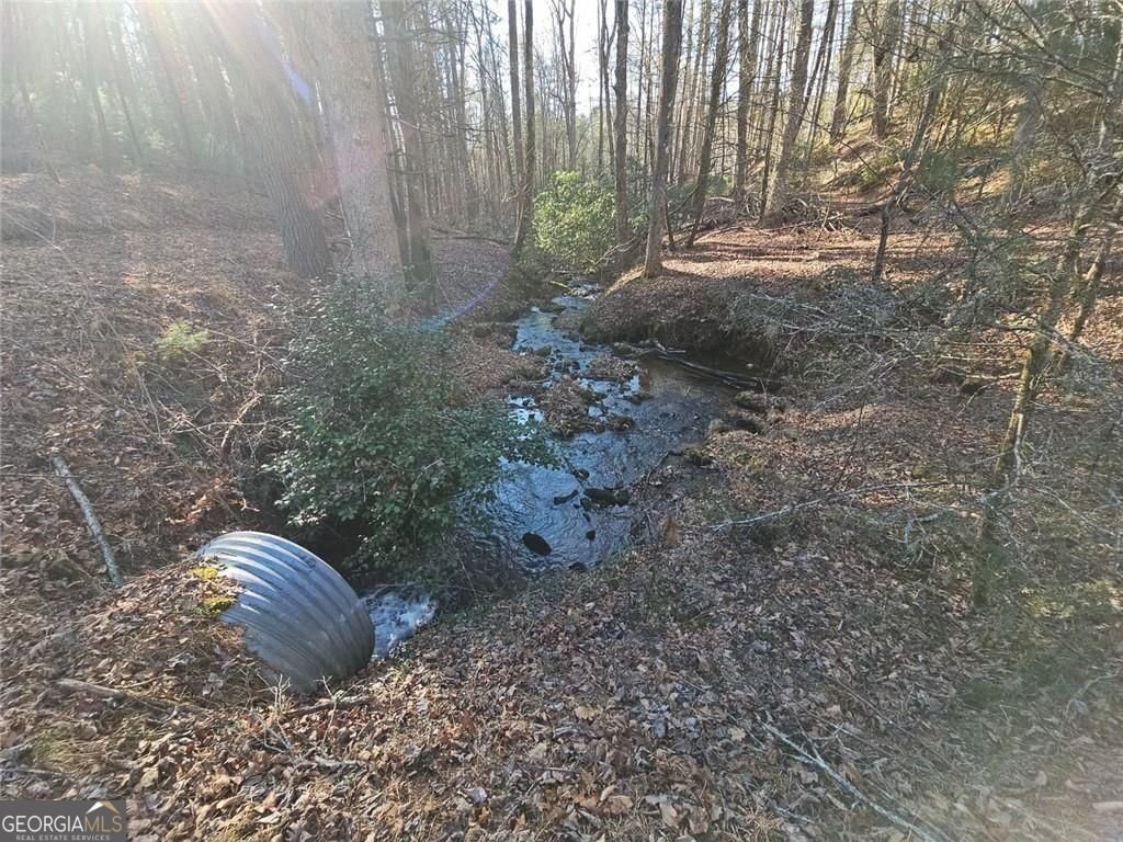 216 Sourwood Drive Blue Ridge - Photo 61