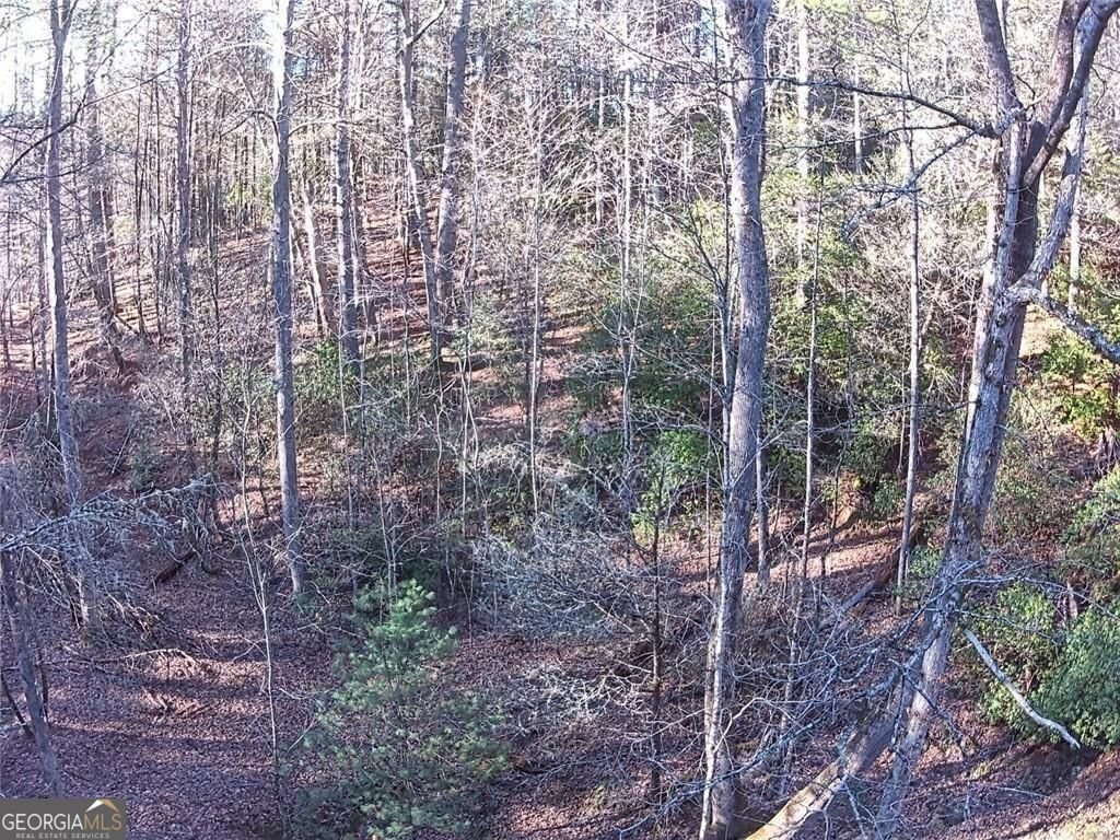 216 Sourwood Drive Blue Ridge - Photo 62