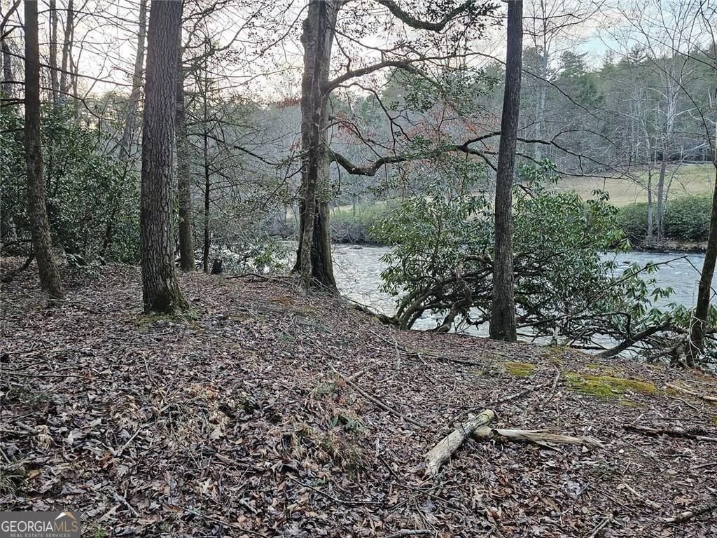 216 Sourwood Drive Blue Ridge - Photo 67