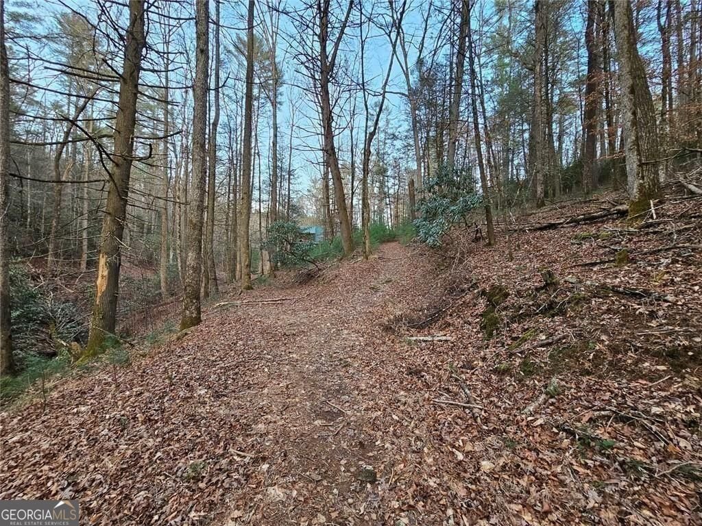 216 Sourwood Drive Blue Ridge - Photo 70
