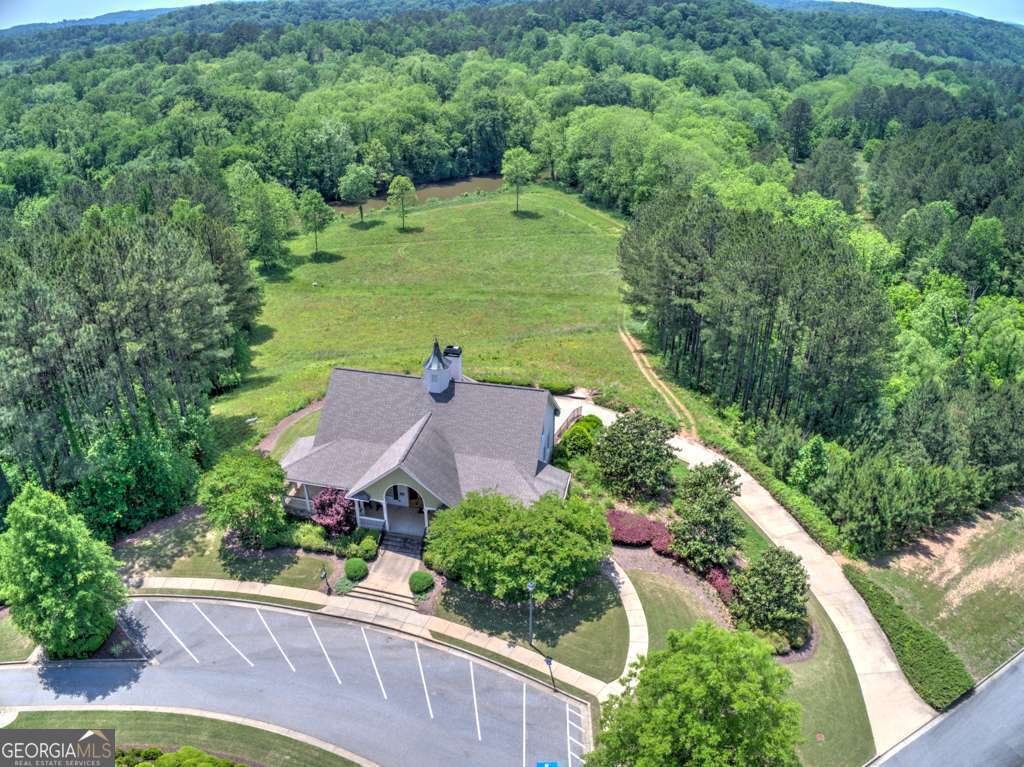 2063 Harmony Drive Canton - Photo 64