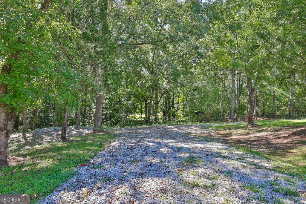 3525 Ebenezer Road Conyers - Photo 43