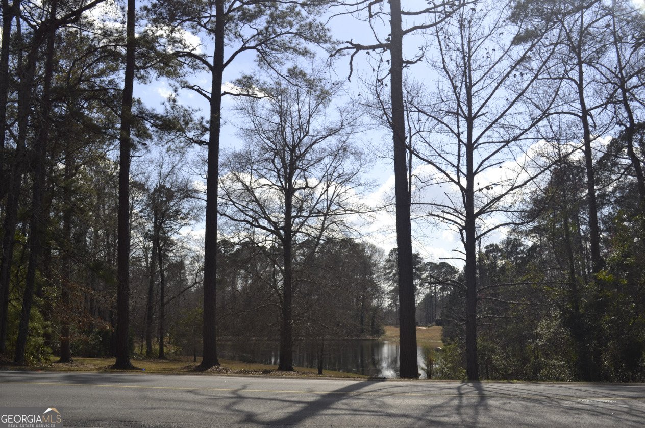 309 Cimarron Court Macon - Photo 35