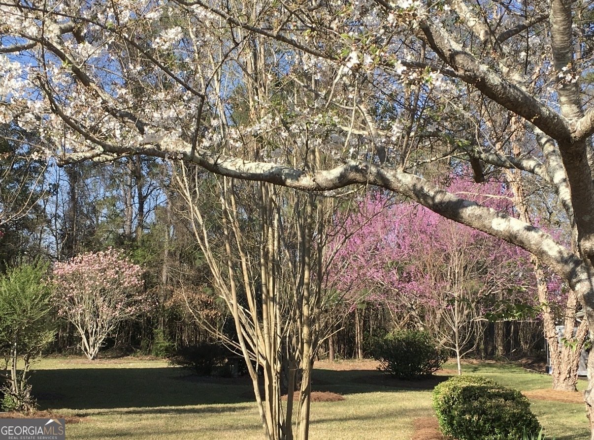 309 Cimarron Court Macon - Photo 41