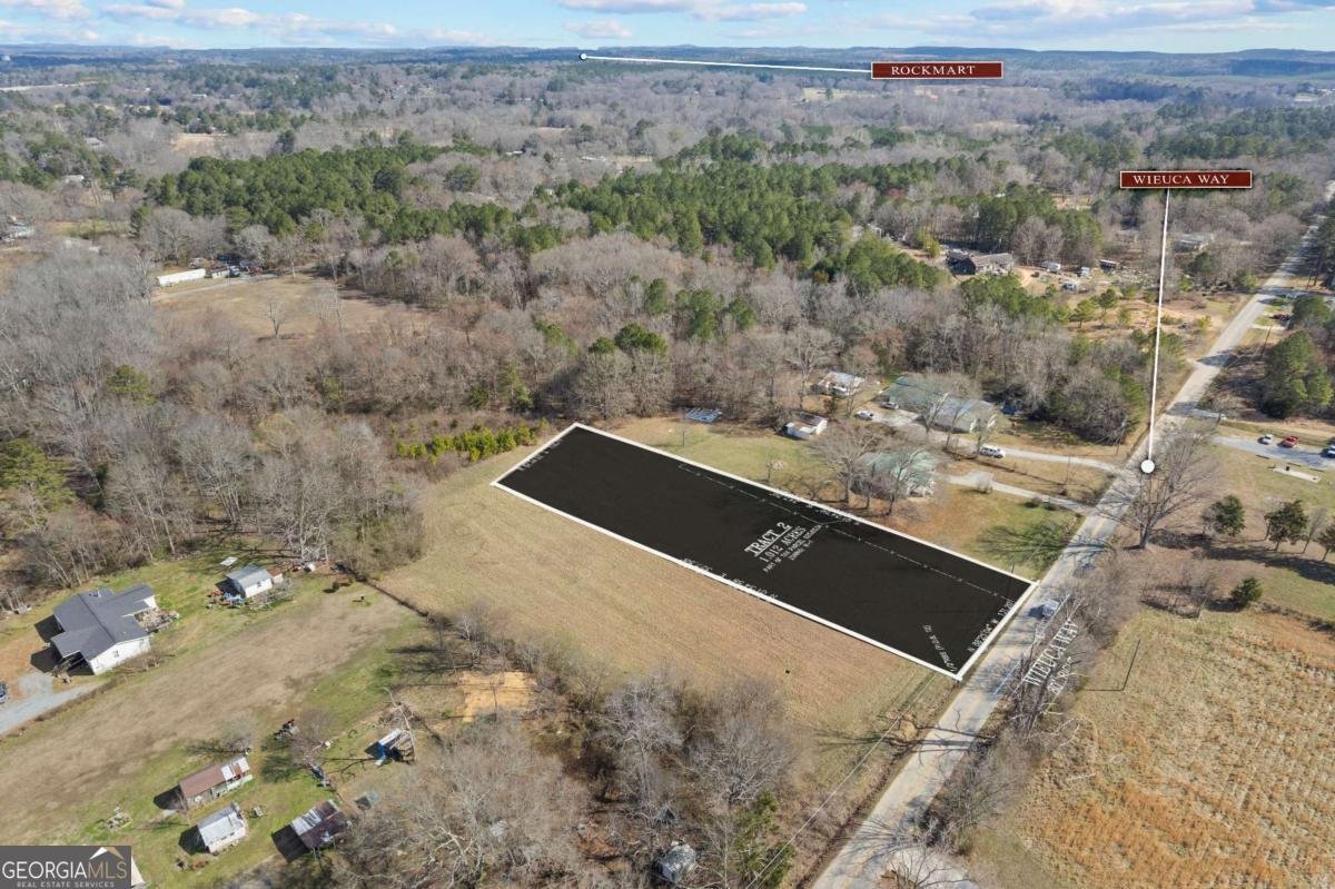 TRACT2 WIEUCA Way Cedartown - Photo 36