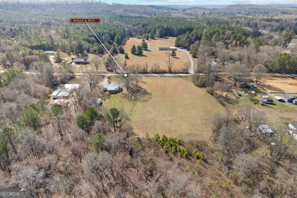 TRACT2 WIEUCA Way Cedartown - Photo 44