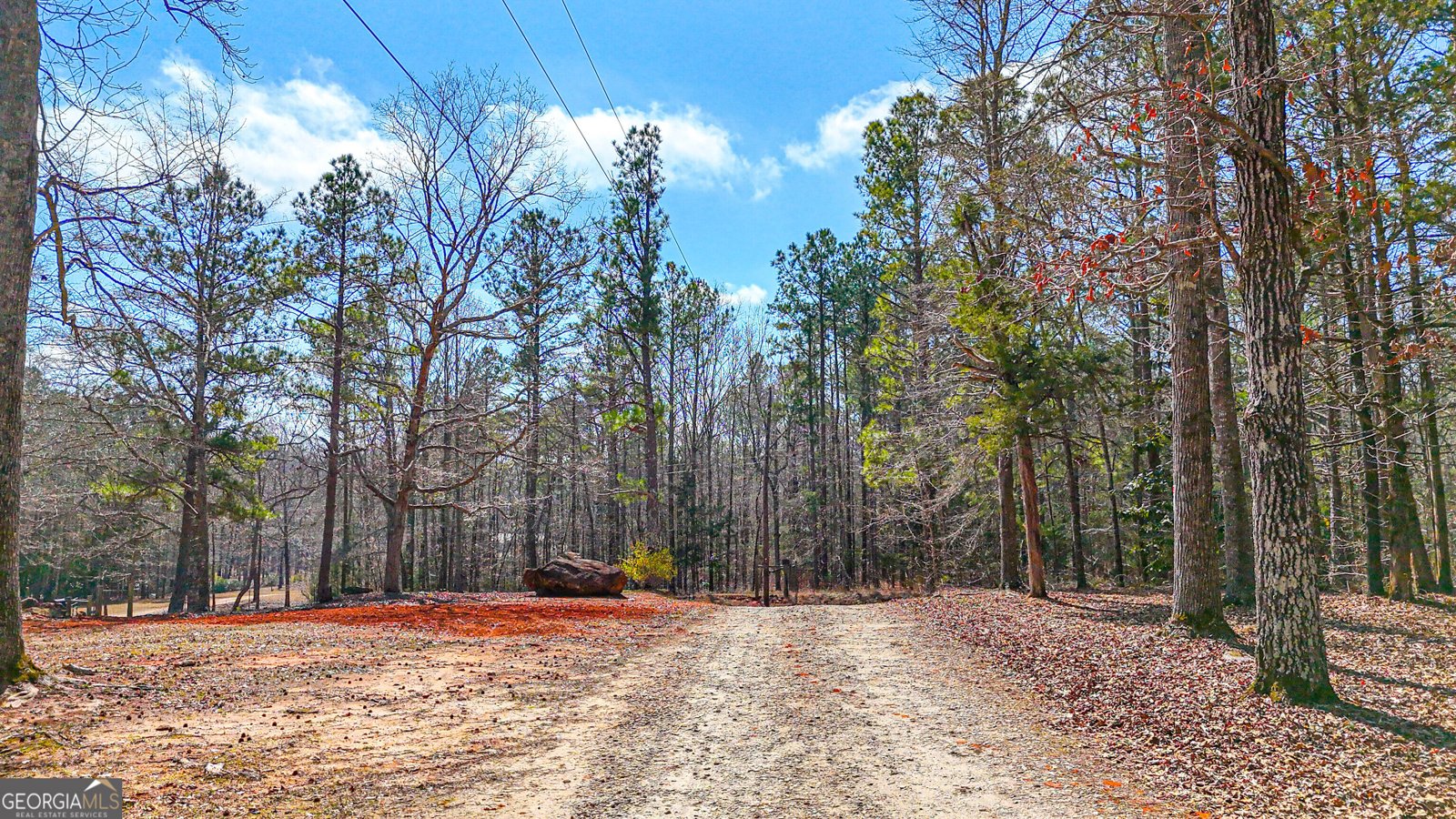 216 Ponderosa Lane Barnesville - Photo 110