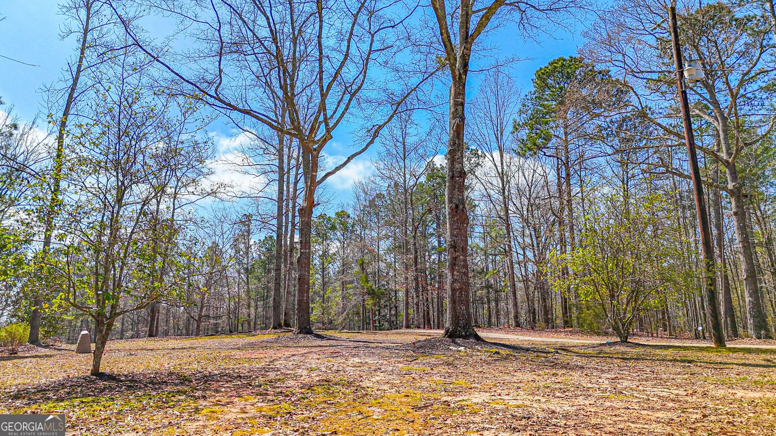 216 Ponderosa Lane Barnesville - Photo 114