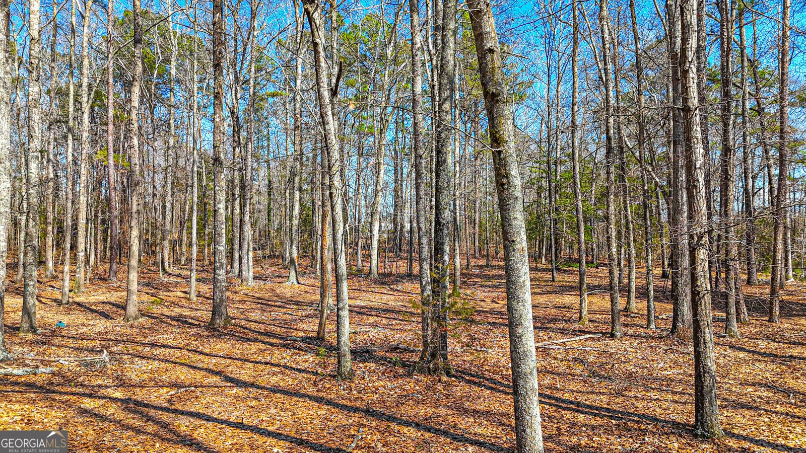 216 Ponderosa Lane Barnesville - Photo 97