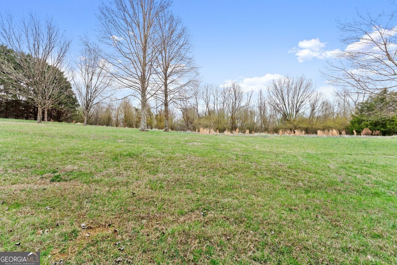 5615 Little Branch Circle Clermont - Photo 34