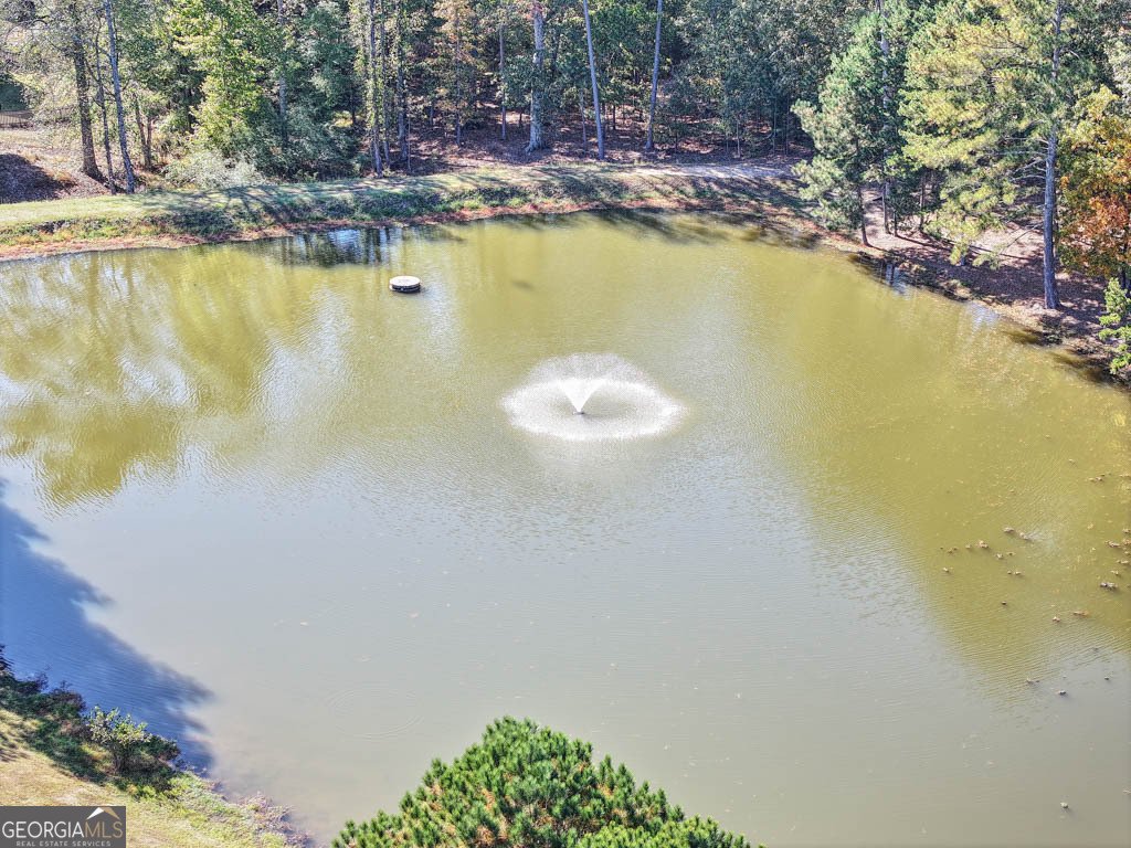 671 New Liberty Way Braselton - Photo 36