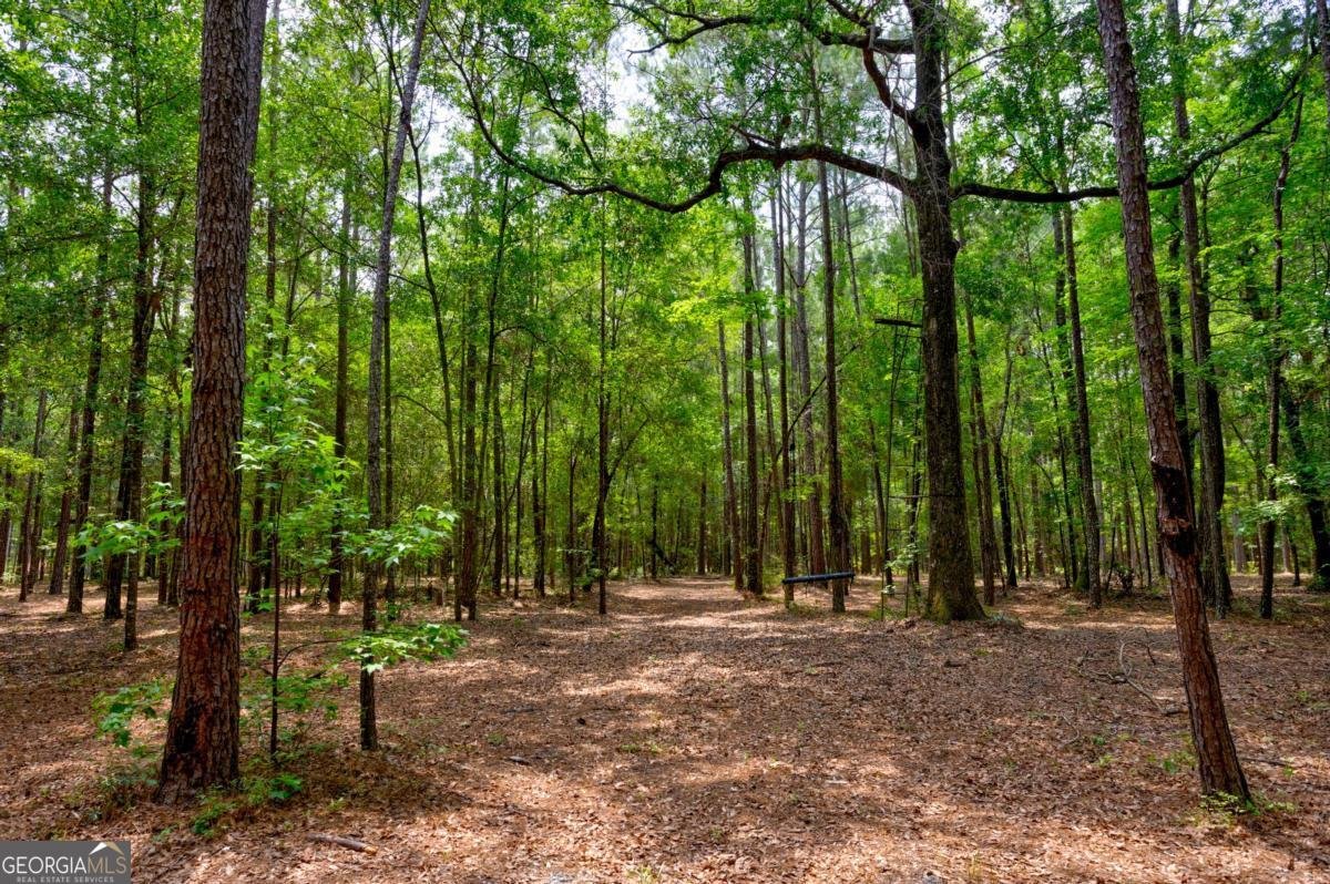 4000 Old River Road Brooklet - Photo 38