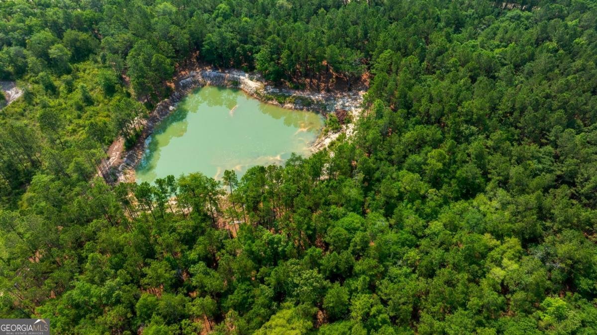 4000 Old River Road Brooklet - Photo 40