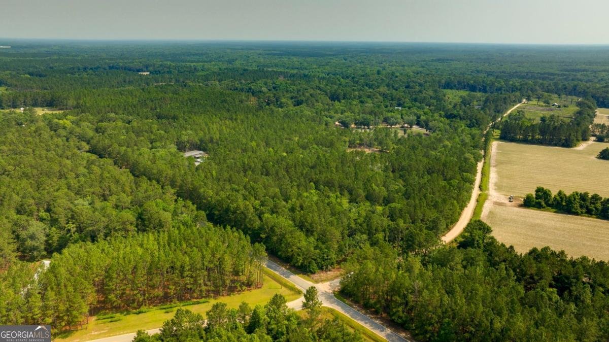 4000 Old River Road Brooklet - Photo 42