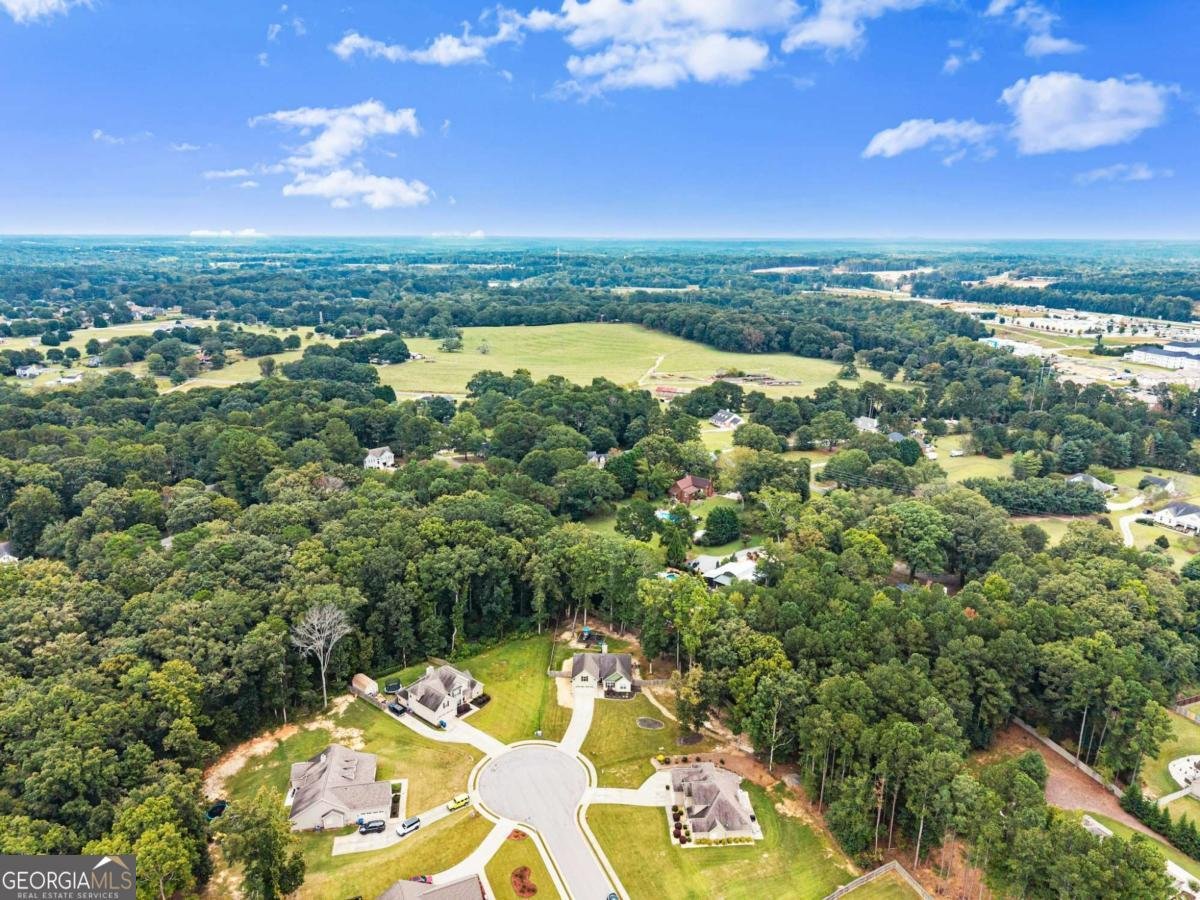 59 Arbor Point Bethlehem - Photo 43