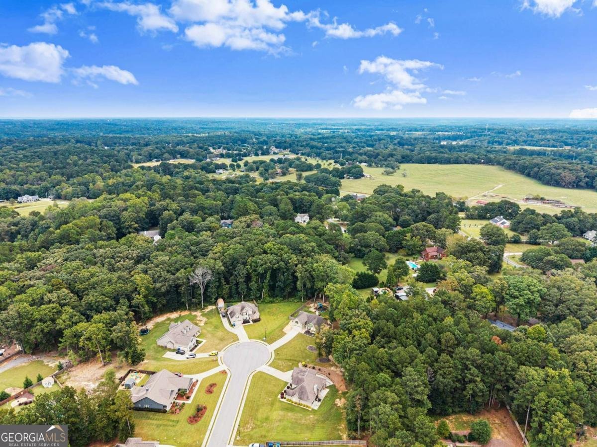 59 Arbor Point Bethlehem - Photo 45