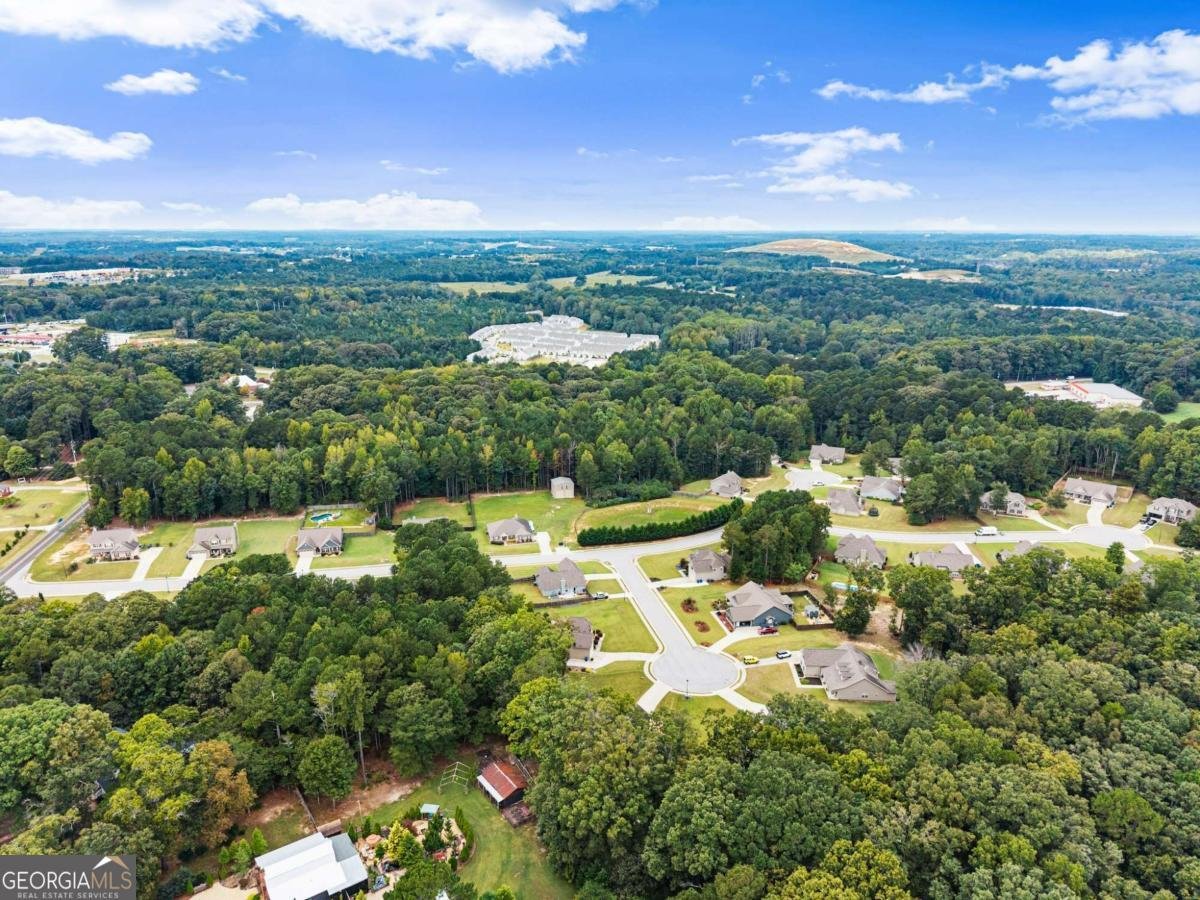 59 Arbor Point Bethlehem - Photo 48