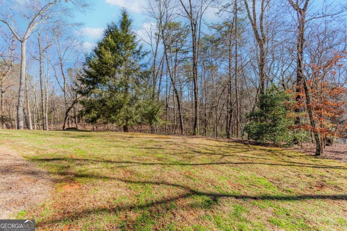 333 Long Branch Crossing Dahlonega - Photo 27