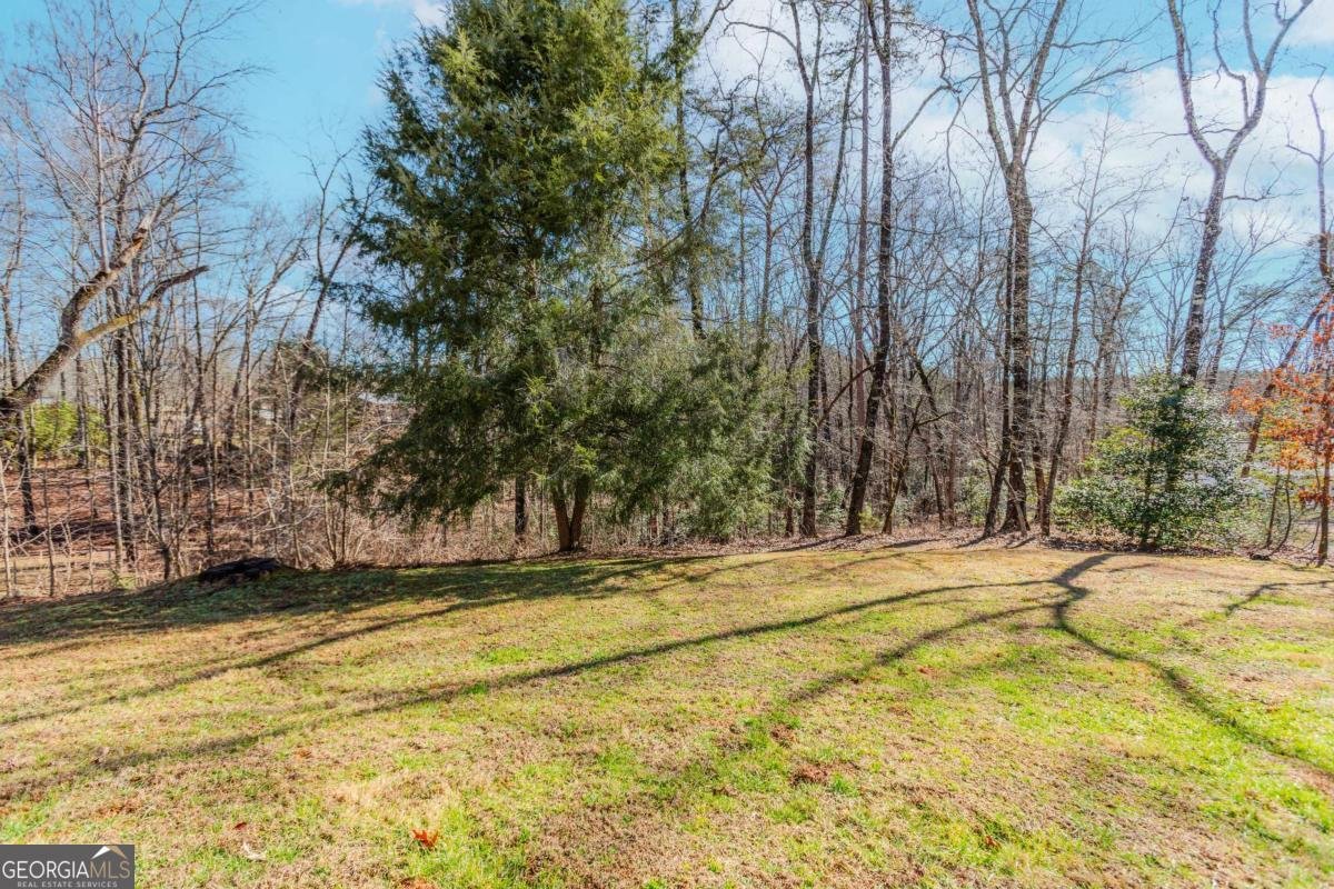 333 Long Branch Crossing Dahlonega - Photo 28