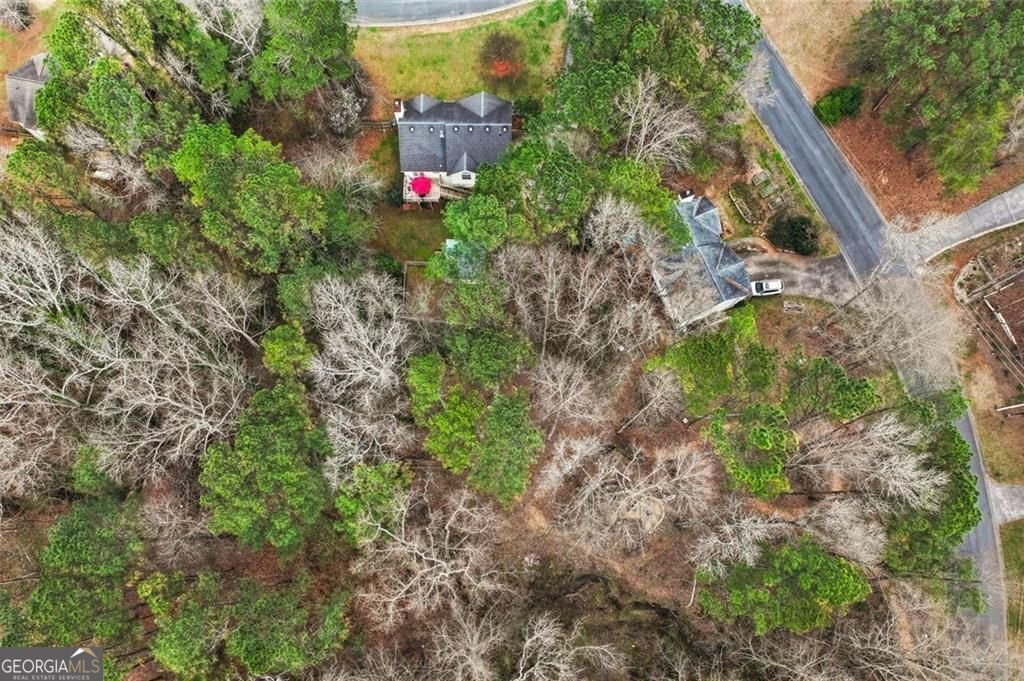 304 Ridge Hill Circle Canton - Photo 36