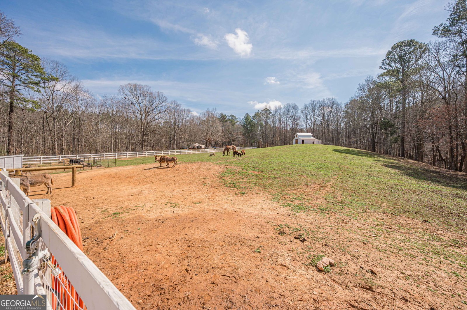 312 Ball Field Road Waleska - Photo 51