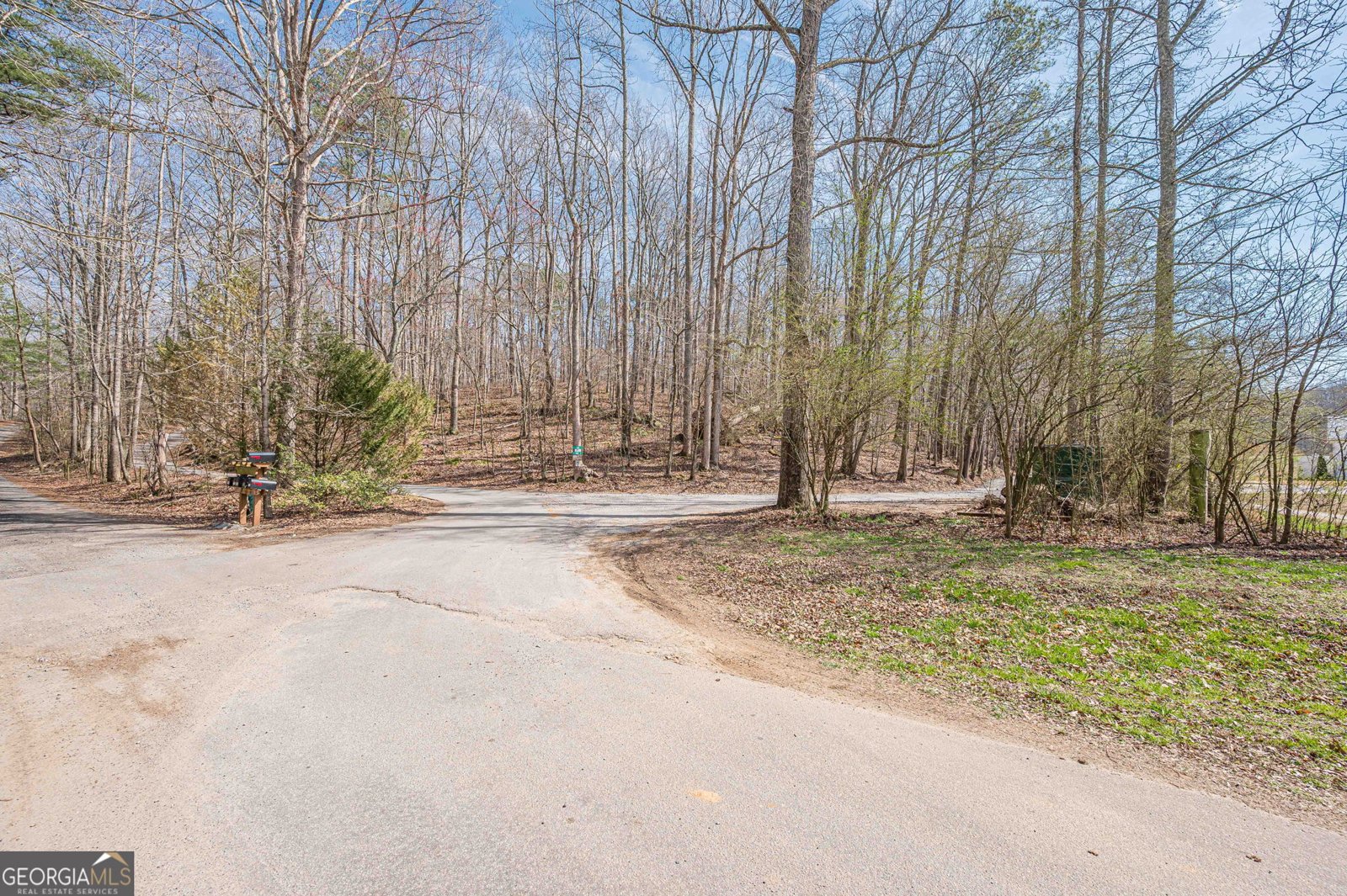 312 Ball Field Road Waleska - Photo 56