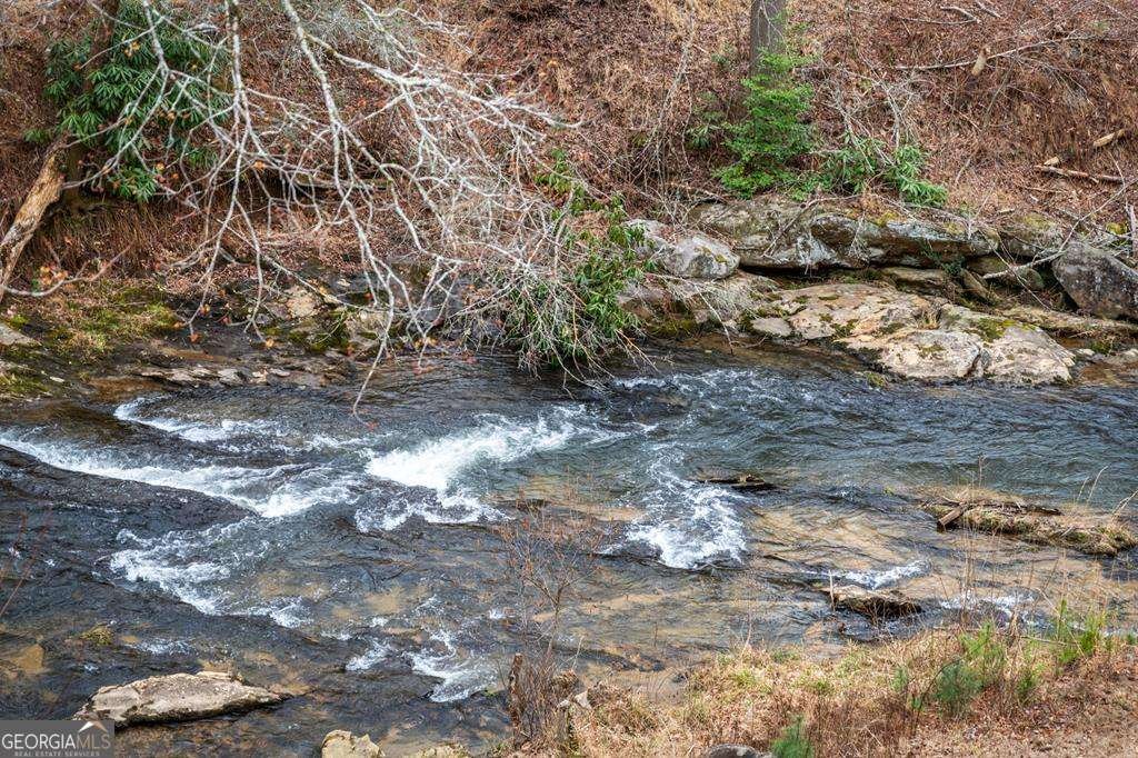 164 Water Dance Trail Blue Ridge - Photo 10