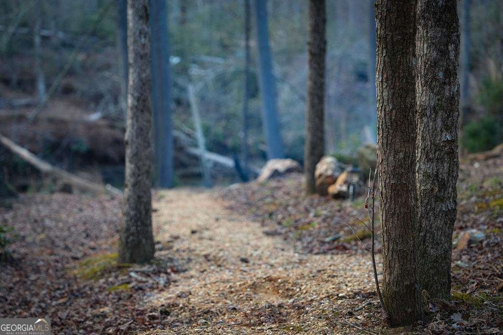 164 Water Dance Trail Blue Ridge - Photo 15