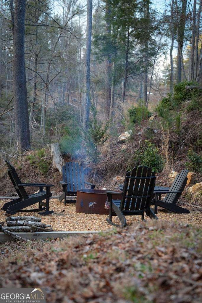 164 Water Dance Trail Blue Ridge - Photo 16