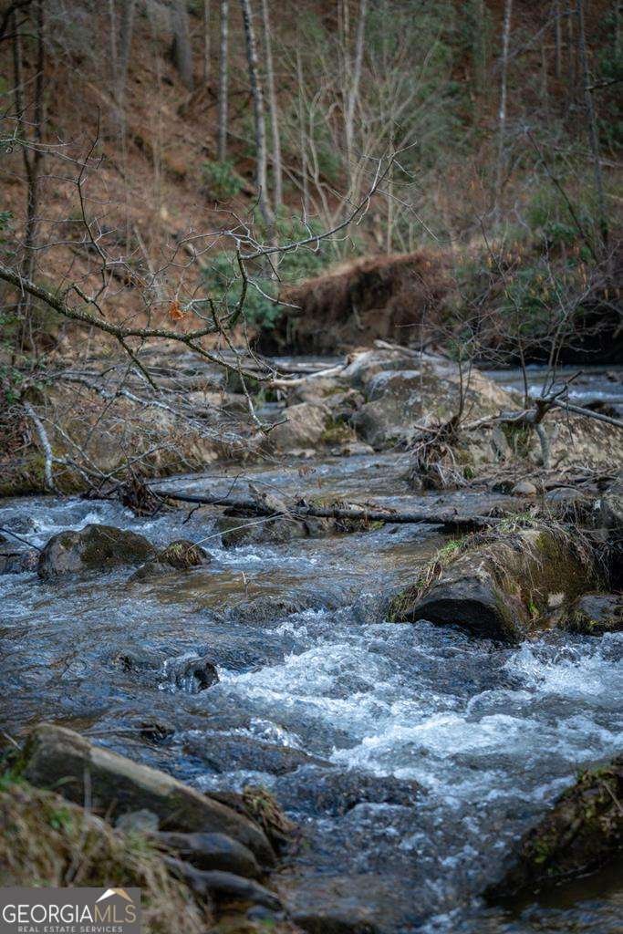 164 Water Dance Trail Blue Ridge - Photo 18