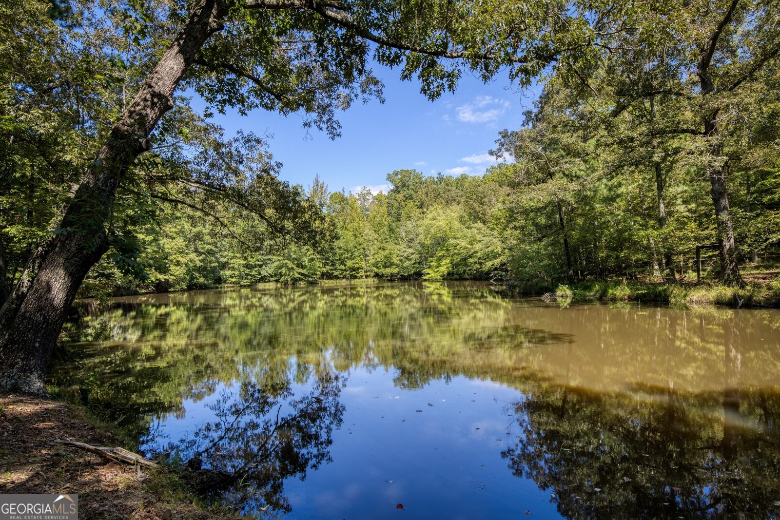 13235 Arnold Mill Road Roswell - Photo 72