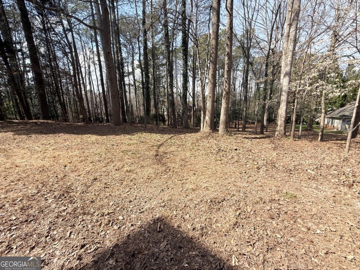 285 Spalding Springs Lane Atlanta - Photo 64