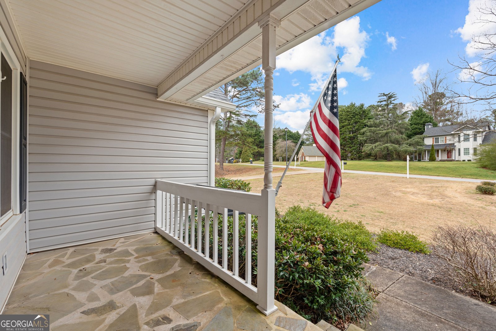 27 Strathmore Drive Sharpsburg - Photo 52