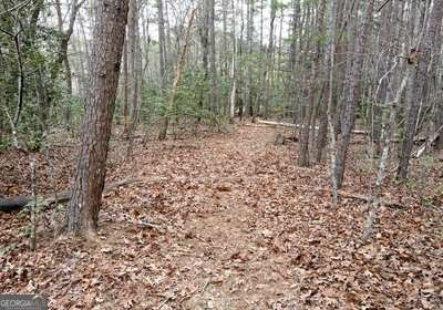 203 Green Acres Road Blairsville - Photo 41