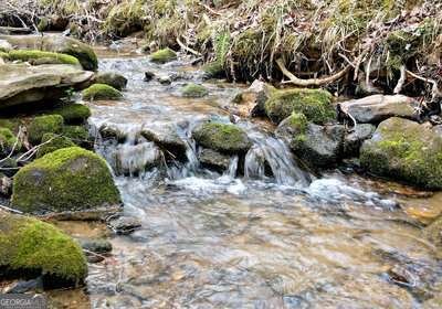 203 Green Acres Road Blairsville - Photo 42