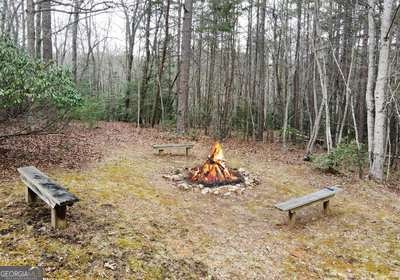 203 Green Acres Road Blairsville - Photo 43