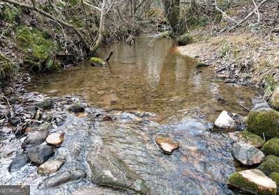 203 Green Acres Road Blairsville - Photo 44