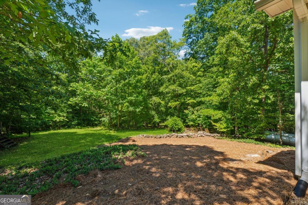 6960 Worley Road Cumming - Photo 34